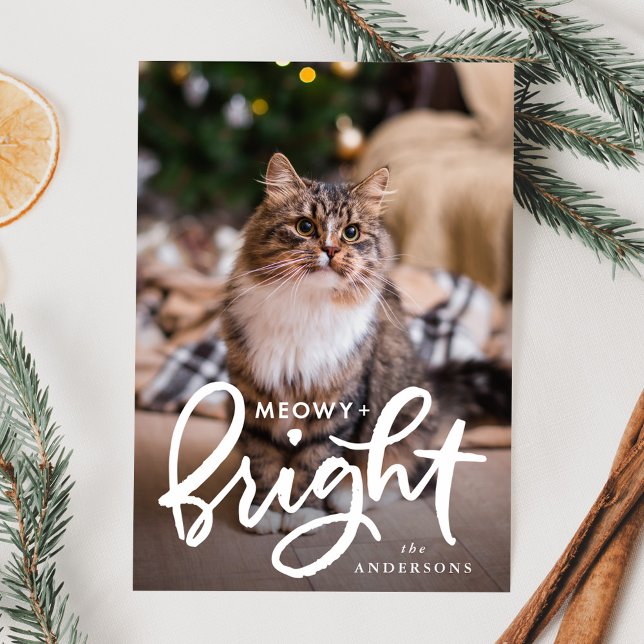 Meowy and Bright Cat Photo Holiday Card (Creator Uploaded)