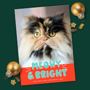 Meowy & Bright Christmas Cute Cat Holiday Photo