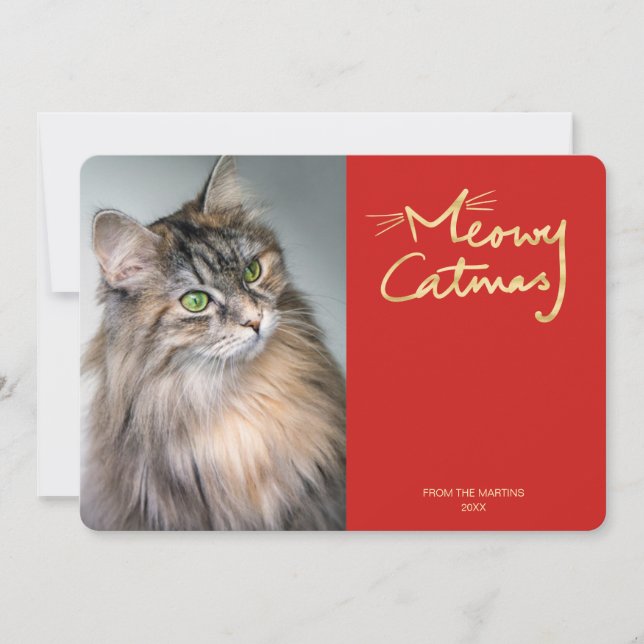 Meowy Catmas Funny Cat Photo Christmas Card (Front)