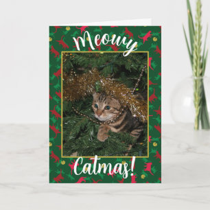 Meowy Catmas - Red Green Christmas Cat Pattern Holiday Card
