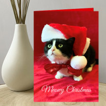 Meowy Christmas Cat Christmas Greeting Card