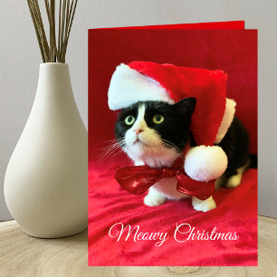 Meowy Christmas Cat Christmas Greeting Card
