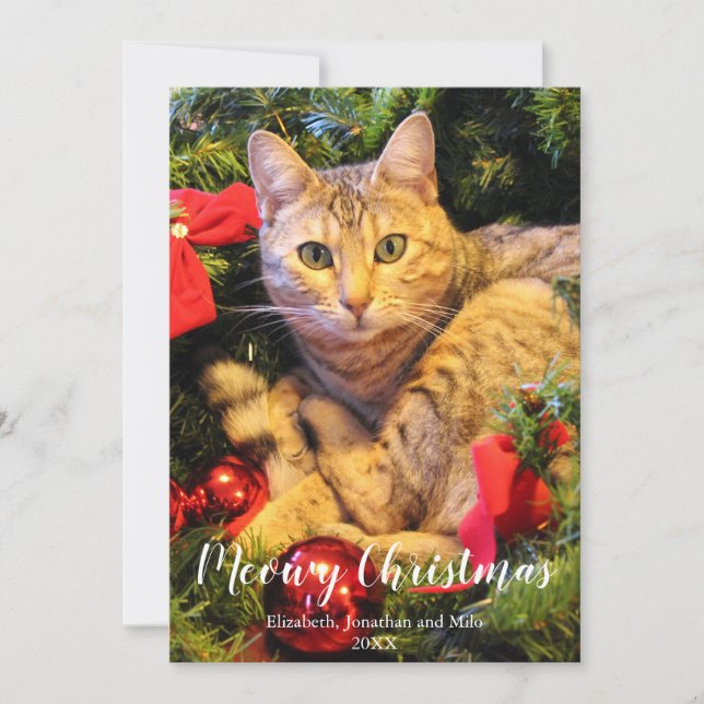 Meowy Christmas Cat Photo Christmas Holiday Card (Front)