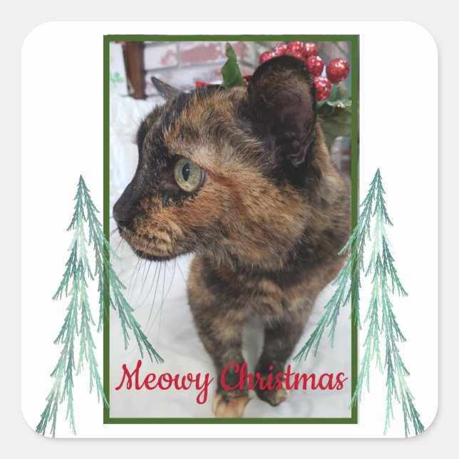 Meowy Christmas Cat Photo Evergreen Fractal Bough Square Sticker (Front)