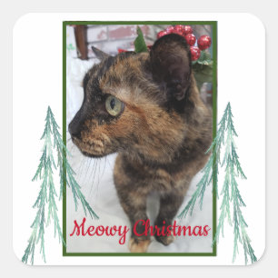 Meowy Christmas Cat Photo Evergreen Fractal Bough Square Sticker