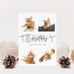 Meowy Christmas Cat Photos White Christmas Holiday Card