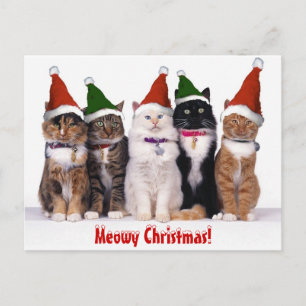 "Meowy Christmas!" Cats Holiday Postcard