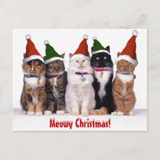 "Meowy Christmas!" Cats Holiday Postcard