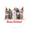 "Meowy Christmas!" Cats In Hats