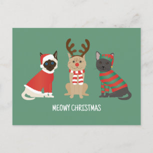 Meowy Christmas Cats Postcard