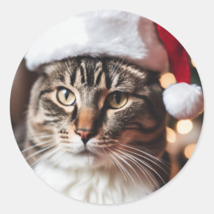 Meowy Christmas! Classic Round Sticker