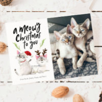 Meowy Christmas Cute Cat Photo