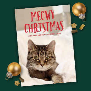 Meowy Christmas Cute Kitty Cat   Holiday Photo Card