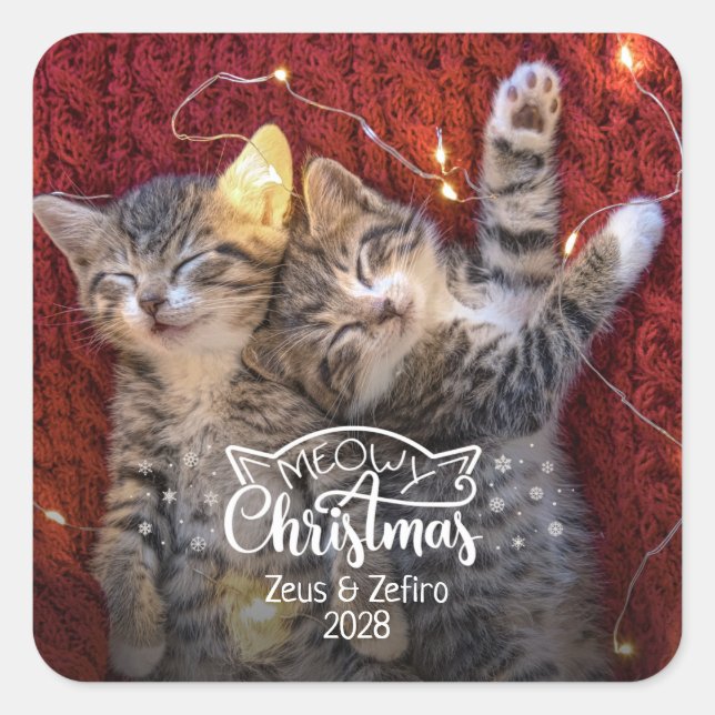 Meowy Christmas fun cat photo pet lover Square Sticker (Front)