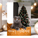 Meowy Christmas Funny Modern Script Pet Cat Photo Holiday Card<br><div class="desc">Meowy Christmas Funny Modern Script Pet Cat Photo Holiday Card. Personalise this custom design with your own photo,  text,  and colours.</div>
