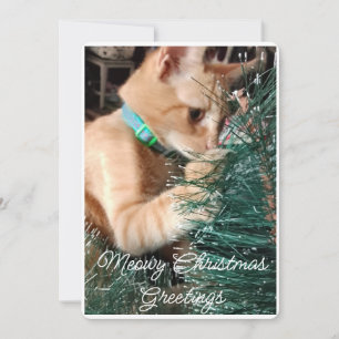 Meowy Christmas Greetings, Photo And Text, Custom Holiday Card