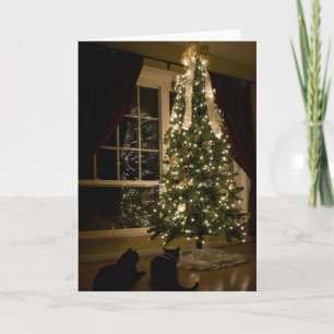 Meowy Christmas Holiday Card
