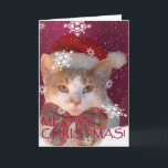 Meowy Christmas! Holiday Card<br><div class="desc">Meowy Christmas!  A delightfully whimsical holiday greeting card.    Featuring an adorably sweet photo of a festive Santa cat in falling snow,  with unique  pawprint snowflakes.  The "purrfect" Christmas card for cat lovers everywhere.</div>