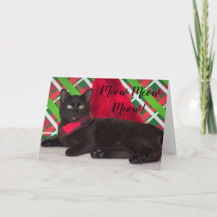 Meowy Christmas Holiday Card