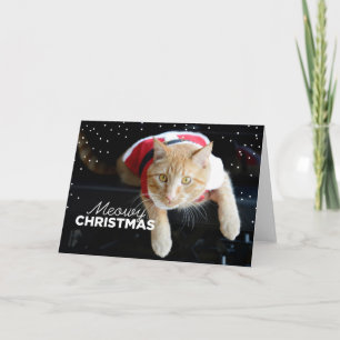 Meowy Christmas Holiday Card