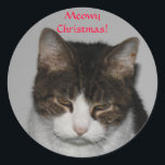 Meowy Christmas! -Holiday Greeting Stickers<br><div class="desc">You can swap my photo of Spuds with one of your own sweet kittie! ***Don't forget to look for our matching cards,  postcards,  stamps,  stickers and more.  Cheers!</div>