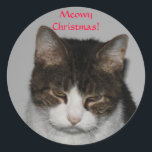 Meowy Christmas! -Holiday Greeting Stickers<br><div class="desc">You can swap my photo of Spuds with one of your own sweet kittie! ***Don't forget to look for our matching cards,  postcards,  stamps,  stickers and more.  Cheers!</div>