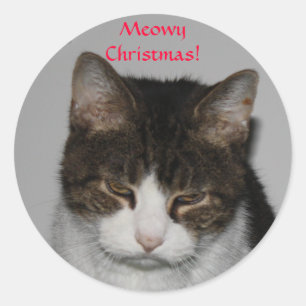 Meowy Christmas! -Holiday Greeting Stickers