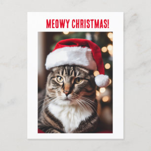Meowy Christmas! Holiday Postcard