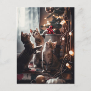 Meowy Christmas! Postcard