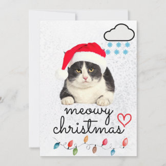 Meowy Christmas Santa Cat Holiday Card
