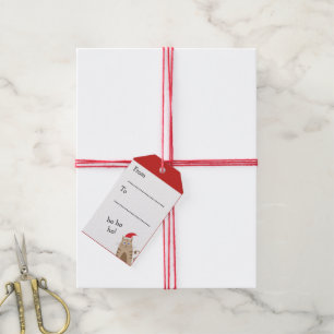 Meowy Christmas santa cat personalised name Gift Tags