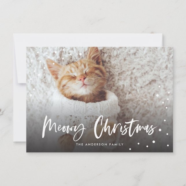 Meowy Christmas Snow Cat | Pet Photo (Front)