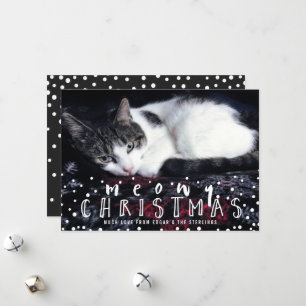 Meowy Christmas Snow Frame Cat Holiday Photo