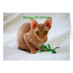 Meowy Christmas Sphinx Cat