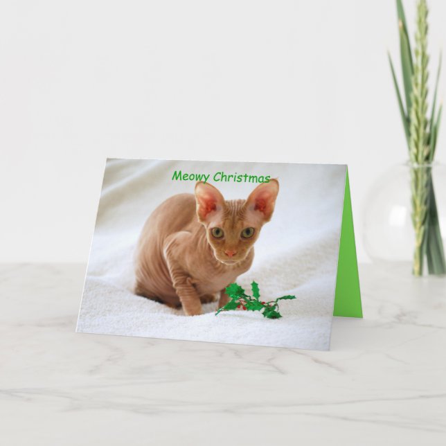 Meowy Christmas Sphinx Cat Holiday Card (Front)