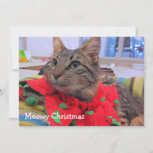 Meowy Christmas Thank You Card