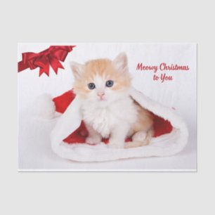 Meowy Christmas to You Cute Cat in Santa Hat Tissue Paper