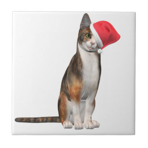 Meowy Christmas with a playful cat in a hat Ceramic Tile
