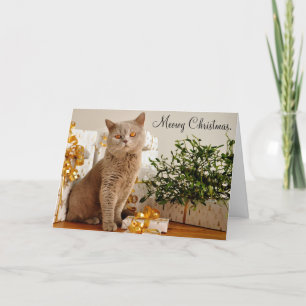 Meowy Merry Christmas Cat Greeting Card