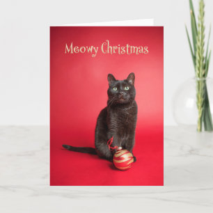 Meowy (Merry) Christmas Cat With Ornament Humour Holiday Card
