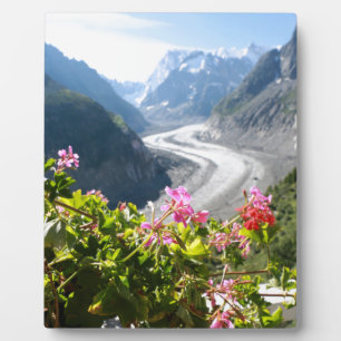 Mer de Glace - Chamonix France Plaque