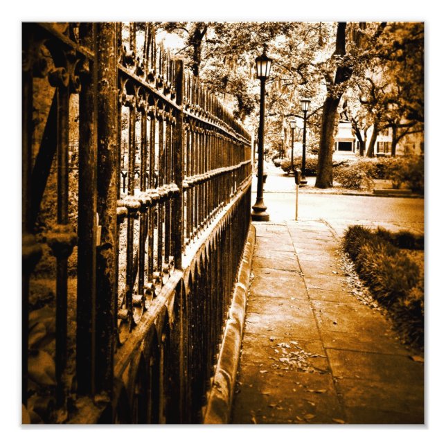 Mercer Fence Photo Print (Front)