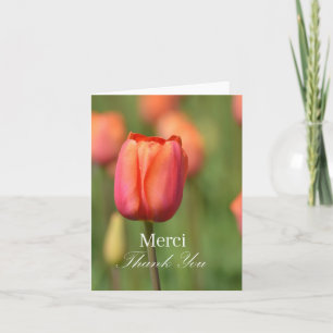 Merci Thank You Pink Tulip Card