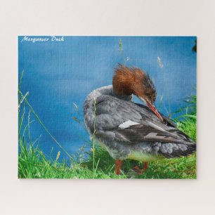 Merganser Duck Jigsaw Puzzle