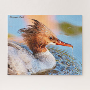Merganser Duck Jigsaw Puzzle