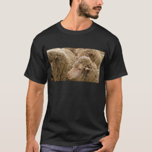 Merino sheep T-Shirt