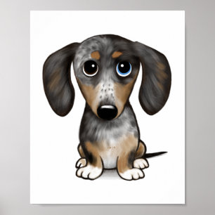 Merle Dapple Dachshund Cute Wiener Dog   Poster