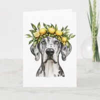 Merle Great Dane Dog Lemon Crown