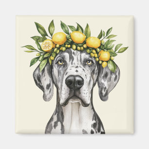 Merle Great Dane Dog Lemon Crown Magnet
