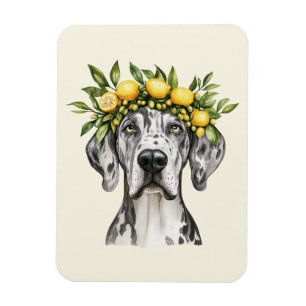 Merle Great Dane Dog Lemon Crown Magnet